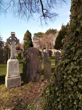 Mezarın altındaki hayat.