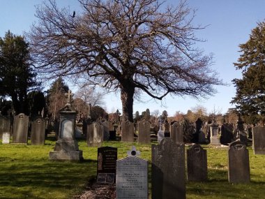 Mezarın altındaki hayat.