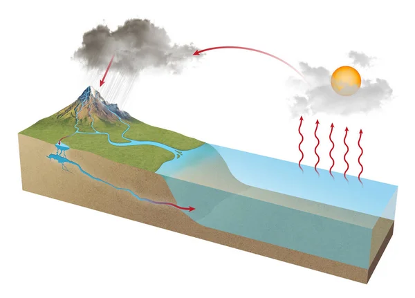 水循環としても知られている水循環は 地球の表面の上と下での水の継続的な動きを記述する生物地球化学的サイクルです — ストック写真