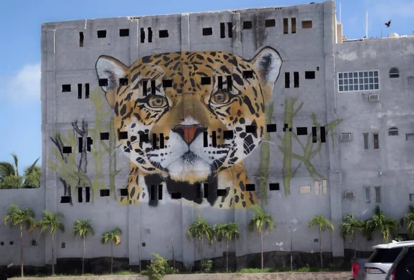 Progreso limanındaki halka açık bir otoparkta Maya jaguarının resmi.
