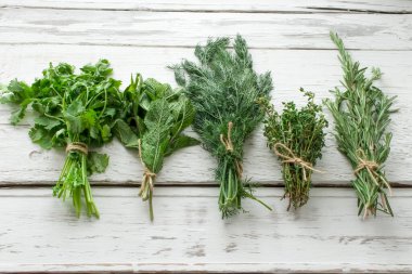 Yeşiller. Cilantro, nane, dereotu, kekik, beyaz tahta bir masada biberiye..