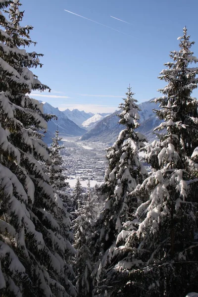 View Snow Covered Alpine Town Seen Couple Evergreens Laden Snow — Stock Photo, Image