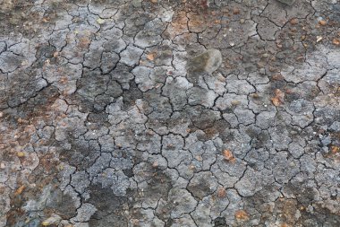 Renkli jeotermal toprağın soyut görüntüsü