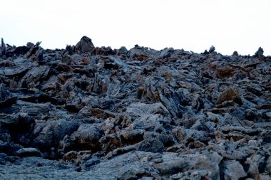 Reykjanes Yarımadası, İzlanda 'da taze katılaşmış lav alanı sivri uçlu taşlarla sonuçlanır.
