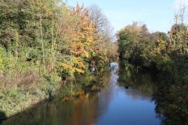 Güneşli bir sonbahar gününün erken saatlerinde sudaki yansımalarla ve suda dalgalanan bir ördekle sakin bir nehir.. 