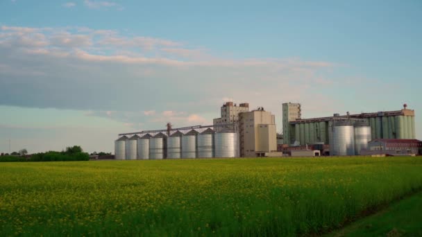 Moderne Zuckerfabrik Der Nähe Des Gelben Rapsfeldes Blauer Himmel Mit — Stockvideo