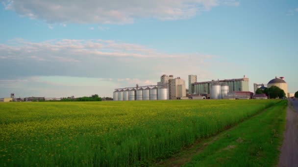 黄菜籽田附近的现代糖厂 蓝天白云 阳光改变了田野上的照明 生态与环境污染问题 — 图库视频影像