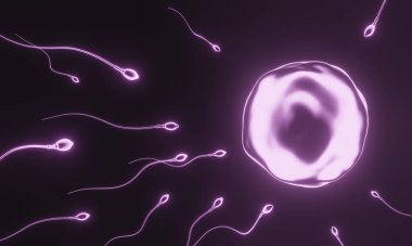 3 boyutlu görüntüleme. Mor sperm ve yumurta hücresi..