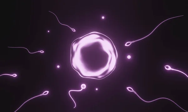 Vykreslování Fialová Spermie Vajíčka — Stock fotografie