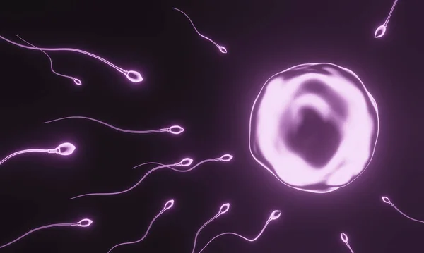 3Dレンダリング 紫色の精子と卵細胞 — ストック写真