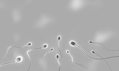 3 boyutlu görüntüleme. Siyah ve beyaz mikroskobik sperm..