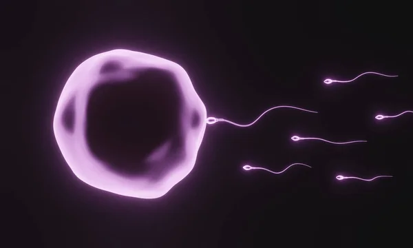 Vykreslování Růžové Mikroskopické Spermie Vajíčka — Stock fotografie