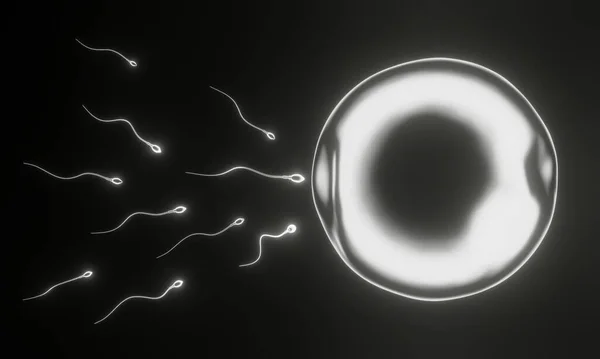 Boyutlu Görüntüleme Beyaz Mikroskobik Sperm Yumurta Hücresi — Stok fotoğraf