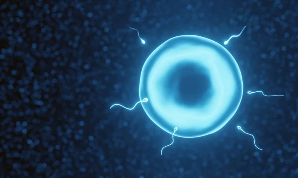 Renderowanie Niebieskie Mikroskopijne Plemniki Komórki Jajowe — Zdjęcie stockowe