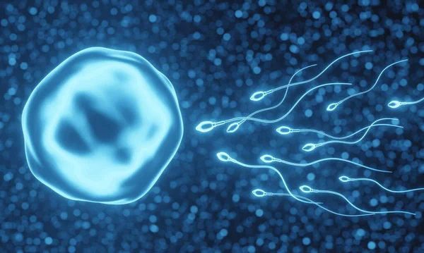 Рендеринг Голубая Микроскопическая Сперма Яйцеклетка — стоковое фото