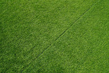 Yeşil çimen arka planının en üst görüntüsü. Yeşil bölge