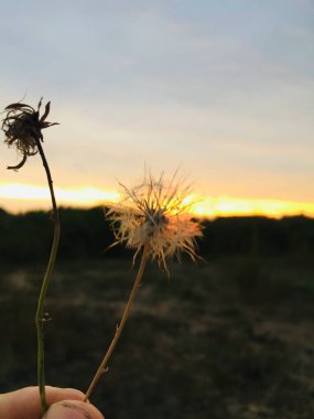 atardecer de verano en chile en los altos de la cordillera de  chillan 