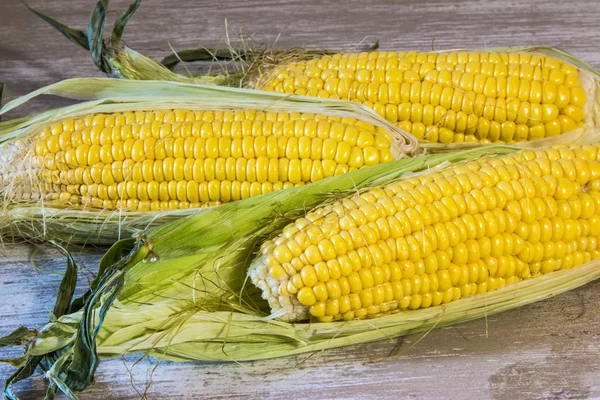 Three corn cobs — Stock Photo, Image