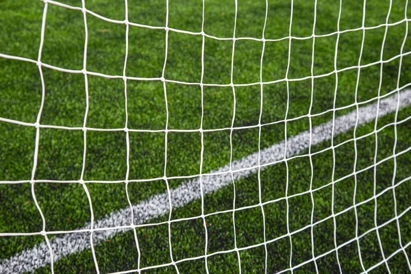 Goal line, on a green football field, view from behind the net