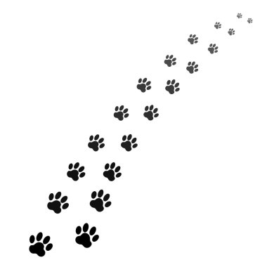 pençe baskı vektör