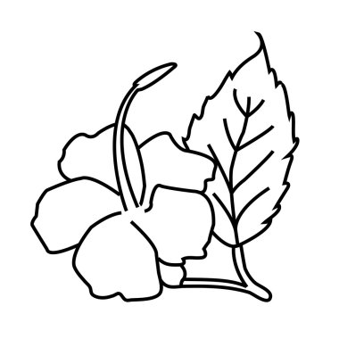 beyaz arkaplanda çiçek