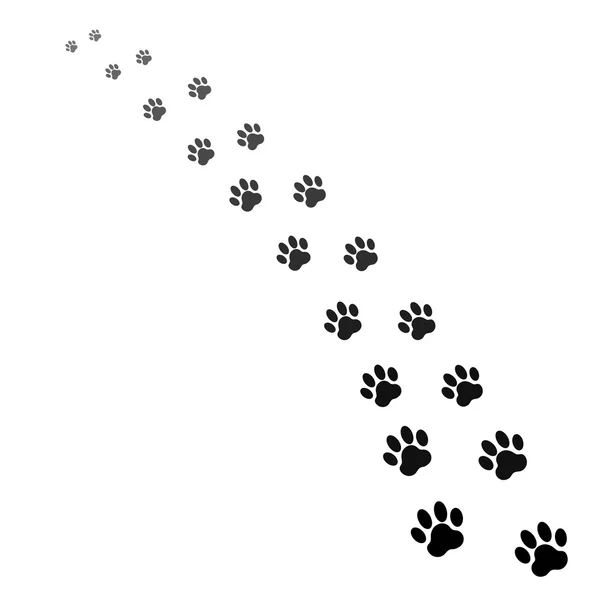Vector of paw print — Stock Vector