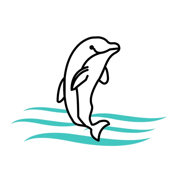 Vector of dolphin on white — Stock Vector