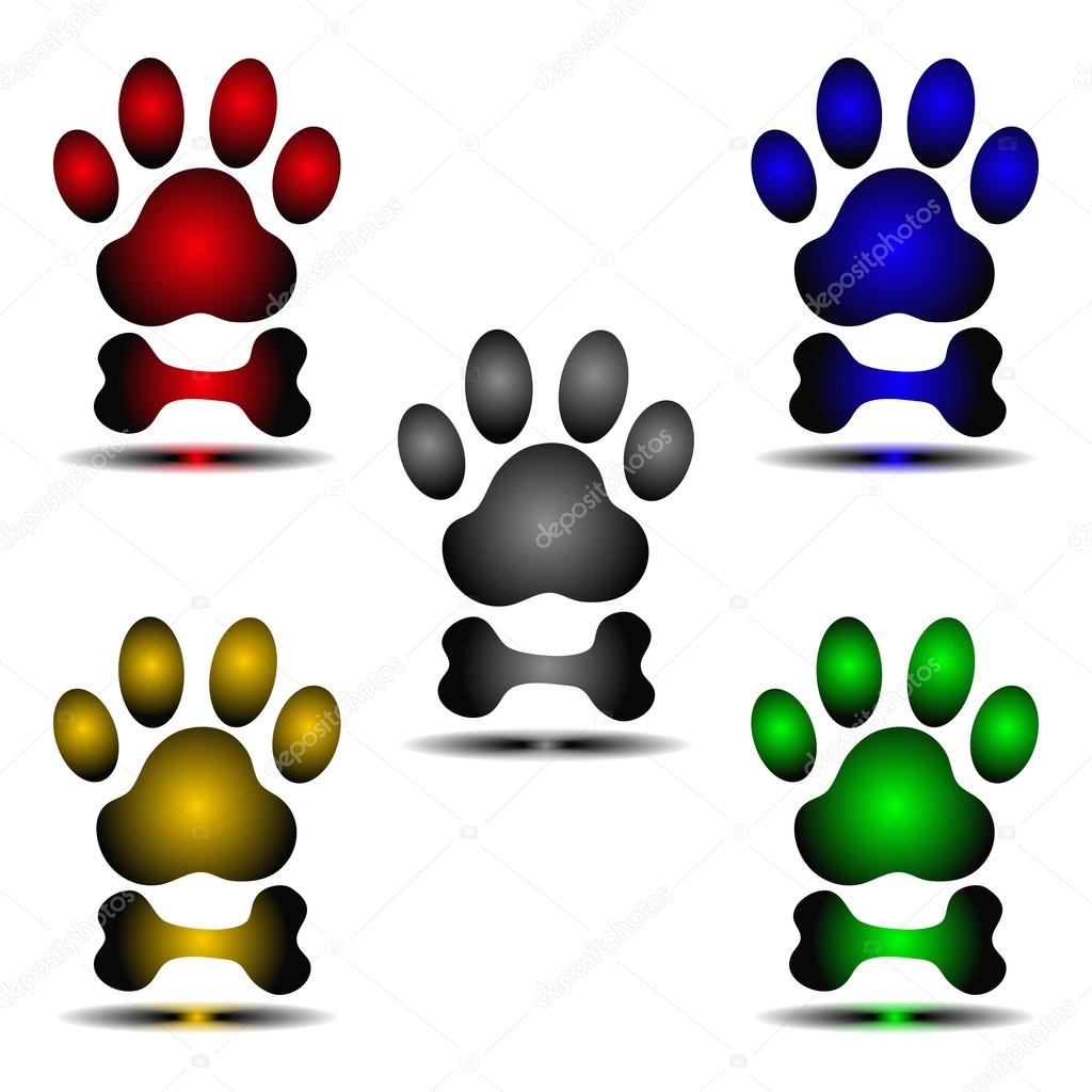 vector of dog paw and bone