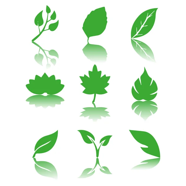 Vector of green leaves icon set — Stock Vector