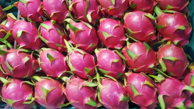 Dragon meyve, yakın çekim