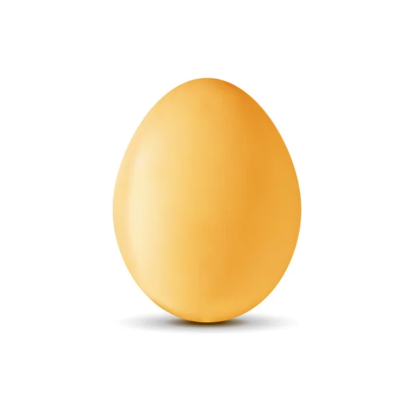 Realistic golden egg — Stock Vector