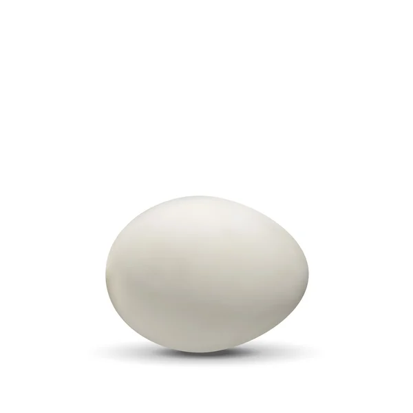 Реалистично изолированное яйцо — стоковый вектор
