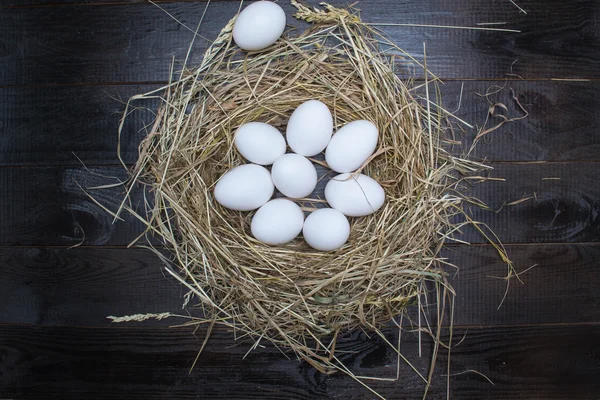 Uova in un nido — Foto Stock