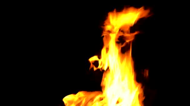 O fogo queima e chama em um fundo preto — Vídeo de Stock