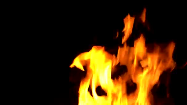 Het vuur brandt en brandt op een zwarte achtergrond — Stockvideo