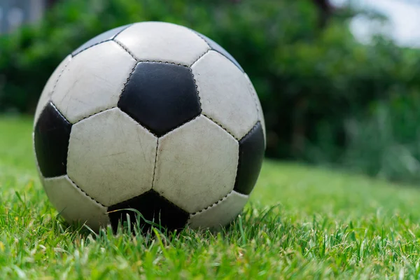 緑の芝生の上でサッカーの目標とサッカーボール — ストック写真