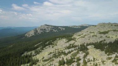 Güzel dağ ve kozalaklı ağaçlardan oluşan orman