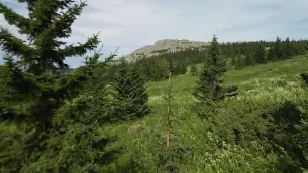 Великий зелений пагорб з горами на задньому плані — стокове відео