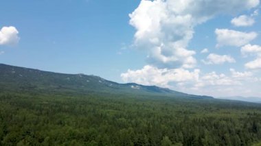 Yeşil orman ve dağ sırası