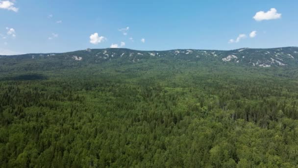 Зеленый лес на фоне неба и гор — стоковое видео