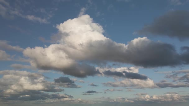 Nagy fehér felhők a kék ég ellen — Stock videók
