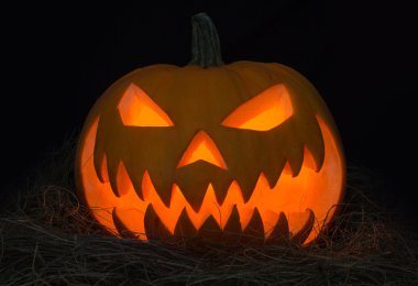 Cadılar Bayramı için balkabakları