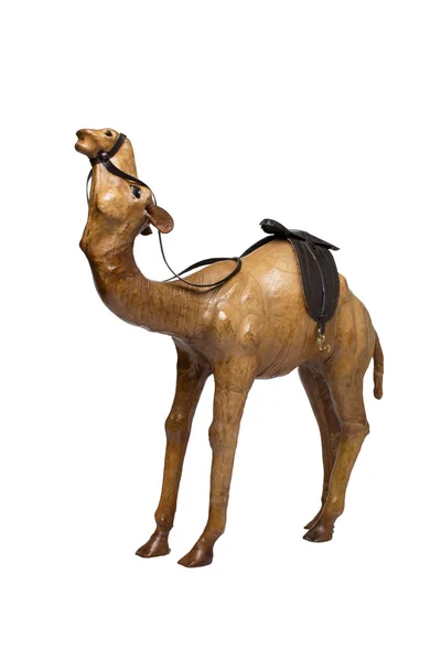 Lembrança de camelo egípcio — Fotografia de Stock