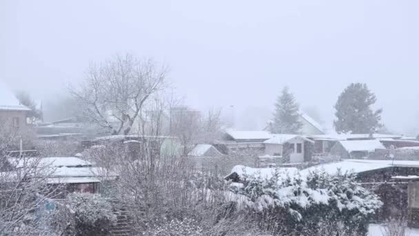 Uma tempestade de neve na Alemanha. Turíngia. — Vídeo de Stock