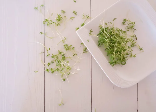 Beyaz masada mikro yeşil su teresi salatası