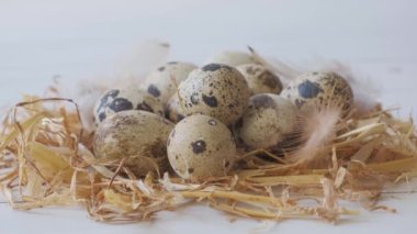 Baharı düşün, Paskalya. Yumurta ve tüy.