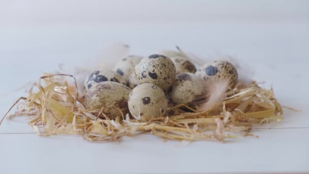 Huevos de codorniz en un nido sobre un fondo blanco — Vídeos de Stock