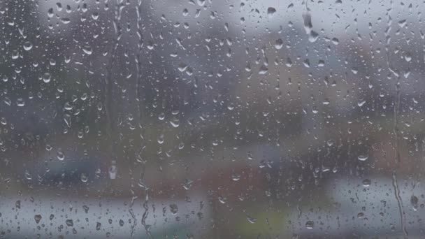 Janela de vidro em tempo chuvoso com gotas de chuva — Vídeo de Stock