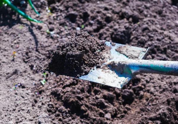 Garden shovel with soil. Spring gardening — Stock Photo, Image