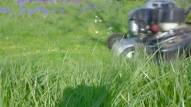 Küçük çocuk bahçedeki çim biçme makinesi.